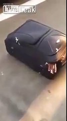 Cops find illegal immigrant stuffed inside a SUITCASE