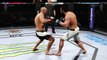 UFC ●  WELTERWEIGHT ●  MMA KNOCKOUTS ● ROBBIE LAWLER VS JOHNNY HENDRICKS