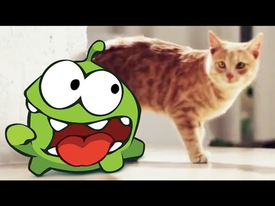 Les Histoires d'Om Nom | Dessin animé pour les enfants | Om Nom French episodes