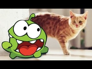 Les Histoires d'Om Nom | Dessin animé pour les enfants | Om Nom French episodes