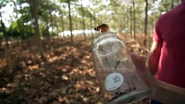 ויה Via אולם אירועים, חתונות וקונגרסים 08-6343890