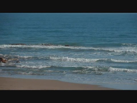 Location Maison Pleumeur Bodou Ile Grande (22560) particulier un bon plan bon coin Juillet Août Septembre