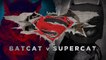 Batcat VS Supercat le court métrage qui parodie le blockbuster !
