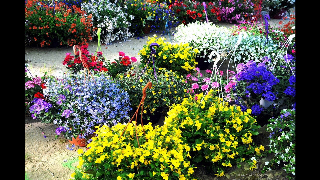 ©HD Fêtedes FleursauVillage 04-05-2014 SaintLaurentlaVernède ANCIAUX MARTINEmondetvwebnature