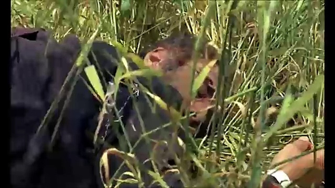 Die Dinge des Lebens 1970 2