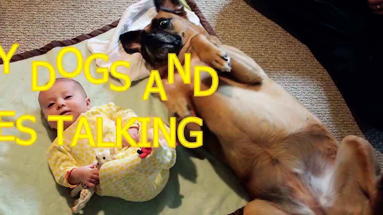Dogs and Babies