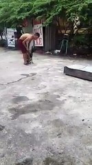 Hunting Dog Training (Pre-Training Part 2)