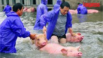Chine: 1,3 million d'habitants touchés par des inondations
