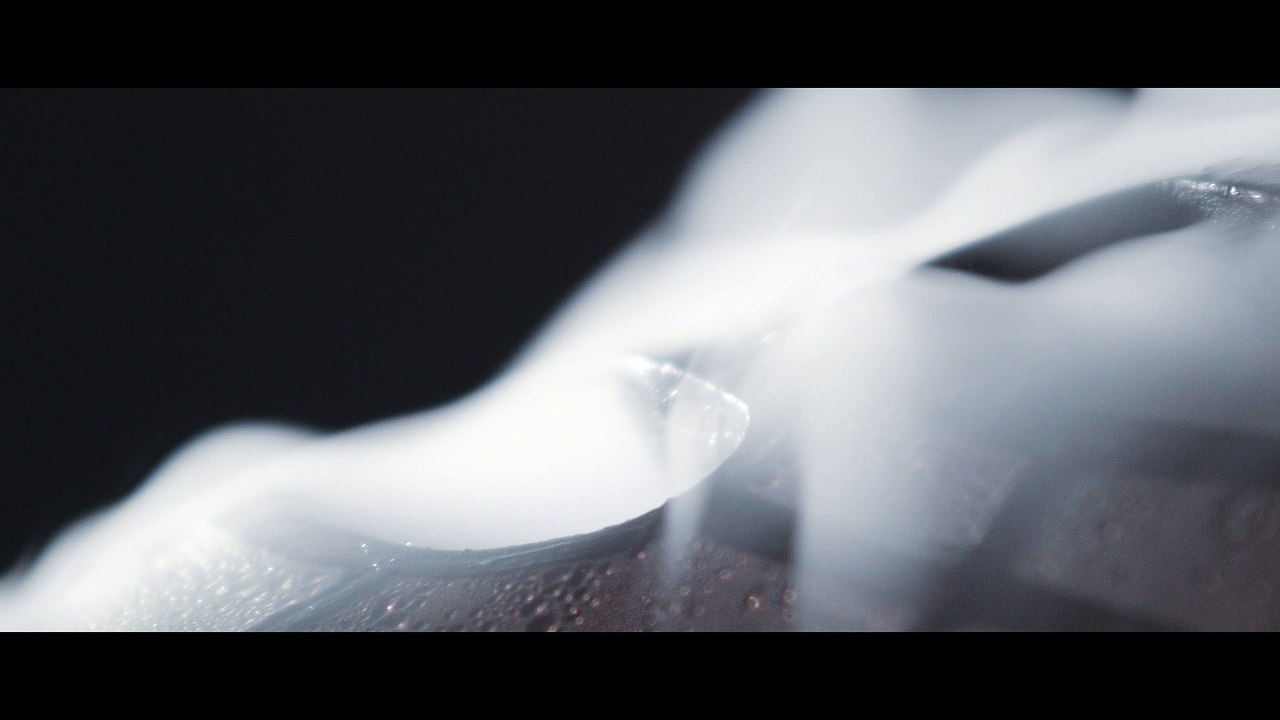 "Règne analogue" par Nicolas Darrot, 4ème teaser, été 2016 à la maison rouge