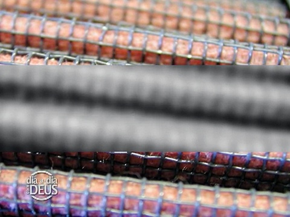 DDD   SEMANA 25   MEIO AMBIENTE 5)