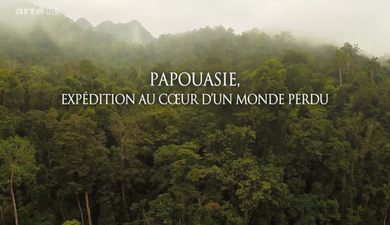 Papouasie, Expédition Au Coeur D'Un Monde Perdu (2/2) [HD]