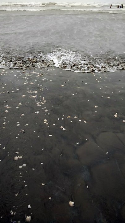 Sea view karachi (2)