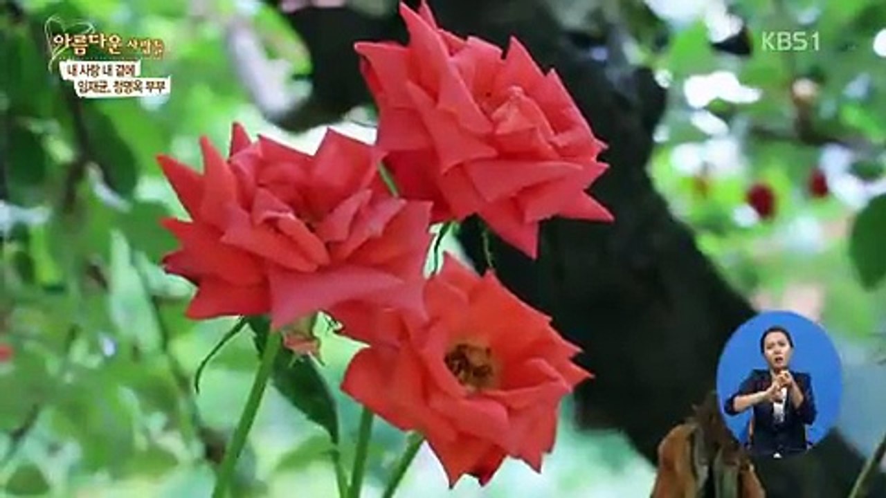 사랑의 가족.E2636.160709