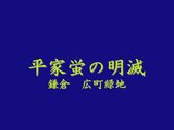 平家ホタルの明滅　2009 6 27