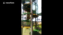 Dog can't walk past a slide 'without going down it'