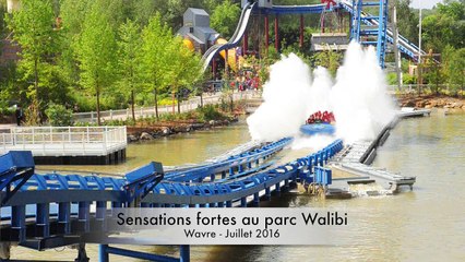 Découvrez les sensations fortes de Walibi