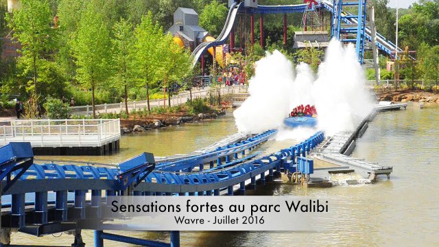 Découvrez les sensations fortes de Walibi