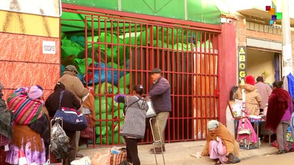 Bolivia: Coca Cultivation