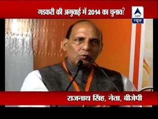 BJP amends constitution to enable second term for Gadkari