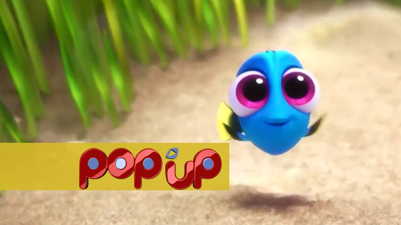 Procurando Dory - POP UP