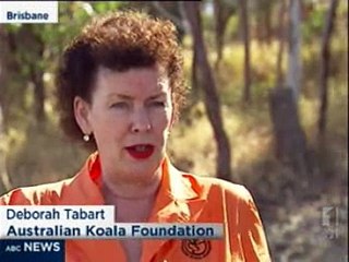 ABC News - Koala Committee - September 22 2011