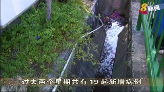 骨痛热症新增19起病例 居民做足防范措施