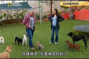 呼叫西薩狗教官三第十六集