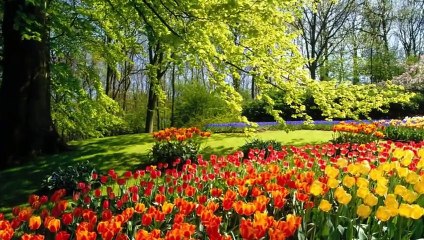 Compleanno marasha !! Luisa nonnis