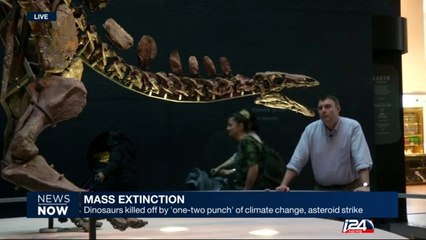 Dinosaurs killed off by 'one-two punch' of climate change asteroid strike