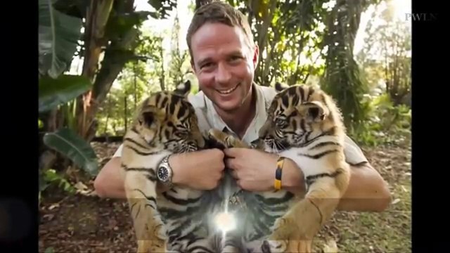 Tigers in the House Sumatran tigers Spot and Stripe found the home with Clark family