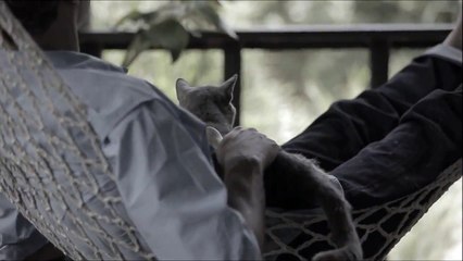 【Lovely cat!,Funny cat!】 猫ＣＭ集vol.24 【濱田酒造　海童】