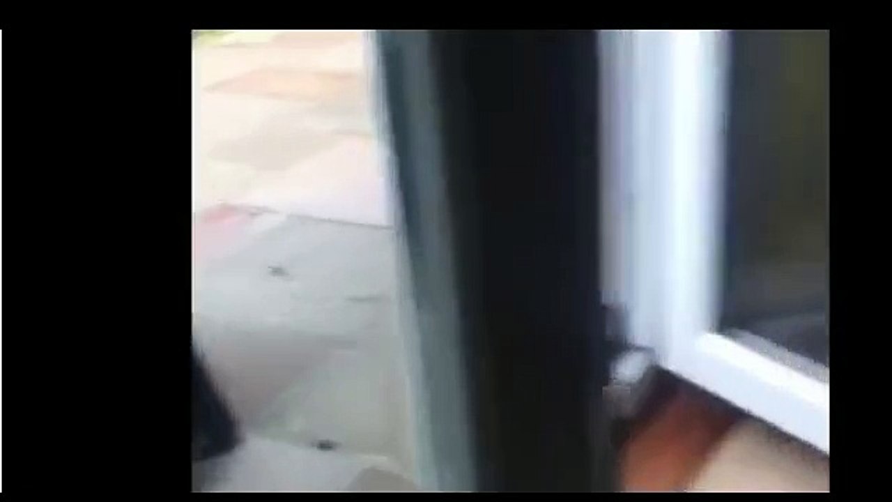 Les canards, les nouveaux amis de Balotelli