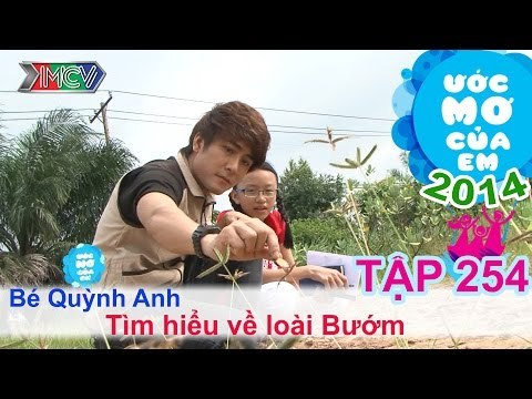 Tìm hiều về loài bướm - Nguyễn Quốc Quỳnh Anh | ƯỚC MƠ CỦA EM | Tập 254