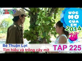 Tìm hiểu và trồng cây mít - Võ Quyền Thuận Lợi | ƯỚC MƠ CỦA EM | Tập 225
