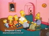 Shut Up Simpsons - Simpsons Shorts