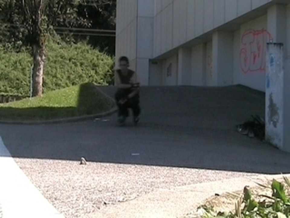 Profile 1 - skyliner