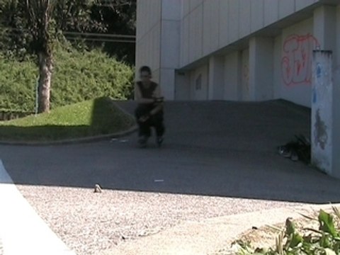 Profile 1 - skyliner