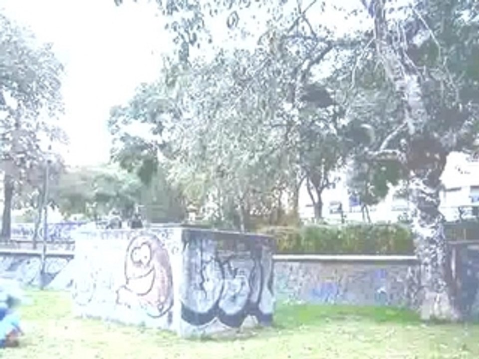 Parkour urban liberty
