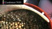 Carabinieri NAS - Sicurezza Alimentare: sequestrate circa 20 tonnellate di alimenti