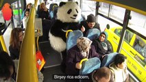 Panda gören masum teyzeler !