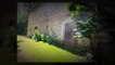Miniature DailyMotion
