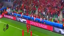 اهداف مباراة البرتغال و ايسلندا 1-1 (كاس الامم الاوروبية /يورو 2016/) 