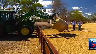Luke Foley visits drought affected farmers: Seven News 7/02/15