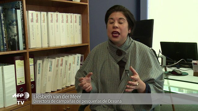 Antibióticos de salmones podrían generar superbacterias en Chile