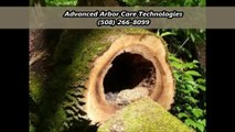 Advanced Arbor Care Technologies - (508) 266-8099