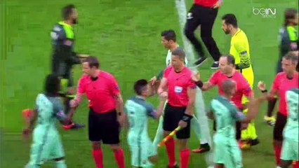 Un ramasseur de balle s'incruste sur la photo du Portugal