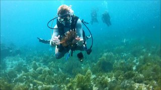 Jardin removes Lionfish from reef 22 secs.wmv