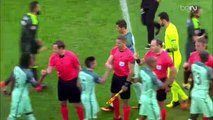 Un Ramasseur de ballon s'incruste sur la photo du portugal - Euro 2016