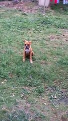 WP 20150621 10 27 21 Pro