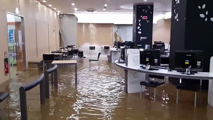 Corée : La bibliothèque universitaire de Yonsei prend l'eau